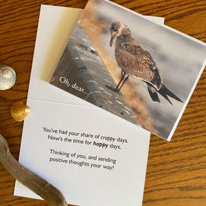 May include: Greeting card featuring a photograph of a bird with the text "Oh, dear..." and a message about happy days. The card is open, revealing the printed message. The card is on a wooden surface.