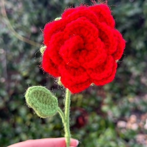 May include: A crocheted red rose with green leaves and a stem.