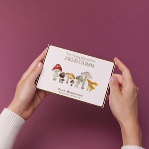Flashcards champignons aquarelle | Étude sur la nature de Reggio, Matériel d'apprentissage Montessori, Charlotte Mason, Petite enfance, Documents à imprimer pour l'école à la maison