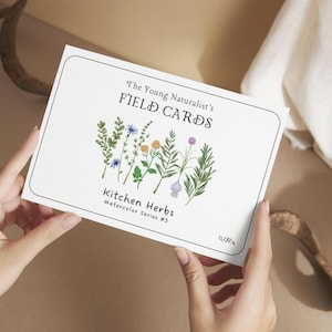 Flash Cards de Aquarela - Ervas de Cozinha | Materiais Digitais para Imprimíveis para Reggio Provocations, Unidades Charlotte Mason, Estudo Domiciliar Waldorf e Montessori