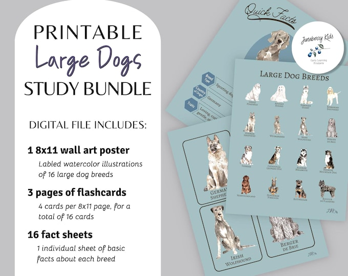 Featured listing image: Large Dog Breeds Study Bundle – Watercolor Poster & Flashcards (Digital Download)