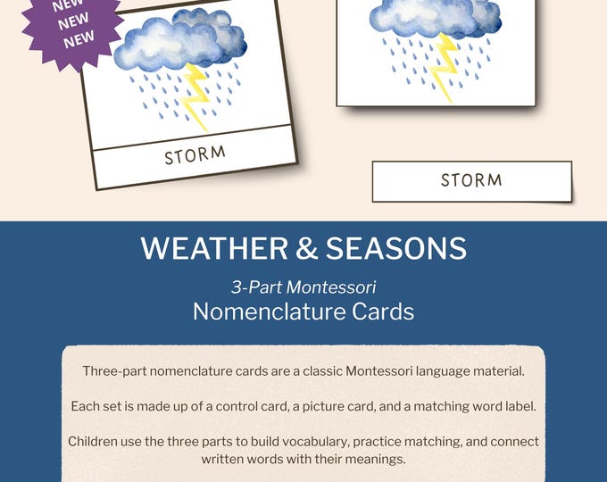 Featured listing image: Weather & Seasons Montessori 3-Part Nomenclature Cards | Digital Printable | Preschool Nature Vocabulary | Homeschool Learning
