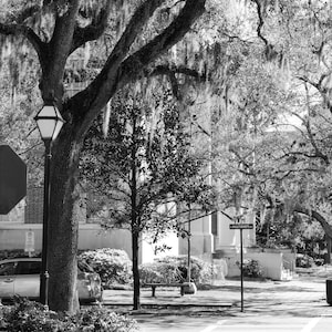 Savannah Photo, Savannah Georgia, Savannah Print, Historic Savannah Wall Art, Savannah GA Photography, Downtown Savannah Photo, Spanish Moss
