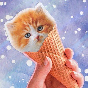 Carte postale Cornet de chat