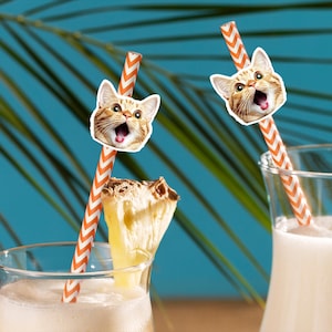 Custom Pet Photo Straws/Personalized Straw Party Favors/Pet Party Photo Straws/Dog Face Cutout Straws/Cat Face Drink Straw/Wedding Pet Straw