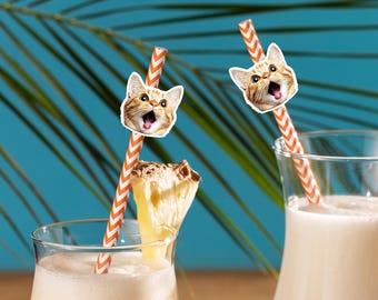 Benutzerdefinierte Haustier-Foto-Strohhalme / personalisierte Stroh-Gastgeschenke / Haustier-Party-Foto-Strohhalme / Hunde-Gesichts-Ausschnitt-Strohhalmen / Katzen-Gesichts-Trinkhalm / Hochzeits-Haustier-Strohhalm