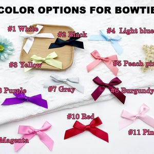 Pu&ograve; includere: Una selezione di 11 papillon in vari colori, tra cui bianco, nero, azzurro, giallo, rosa pesca, viola, grigio, bordeaux, rosso, rosa e magenta. Ogni papillon &egrave; numerato con un nome di colore corrispondente.