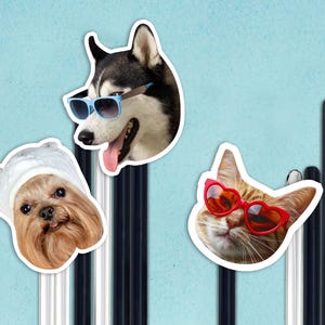 Custom Dog Drink Stirrers/Stir Stick Pet Party Favors/Personalized Pet Face Stir Sticks for Wedding/Acrylic Cocktail Stirrers/Party Supplies