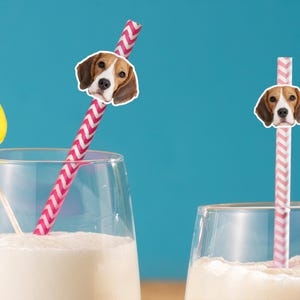 Custom Pet Face Straws/Dog Photo Straw/Cat Face On Straw/Bulk Drink Straws for Pet/Funny Pet Straws/Animals Party Decoration/Pet Lover Gifts