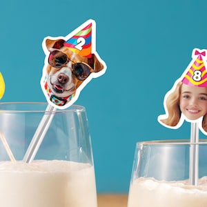 Custom Birthday Drink Stirrers, Stir Sticks with Dog, Funny Face Cocktail Stirrers, Personalized Acrylic Sticks, Milestone Birthday Decor