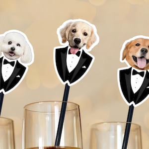 Puede incluir: Tres agitadores de cóctel con temática de perros. Cada agitador presenta la cabeza de una raza de perro diferente, incluyendo un Bichón Frisé, un Golden Retriever y un Labrador, todos con esmóquines negros con pajaritas. Los agitadores son negros y están colocados en vasos transparentes.