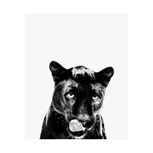 Black Panther Poster | Animal Poster | Trendy  | Wall Art | Cute | Girly |