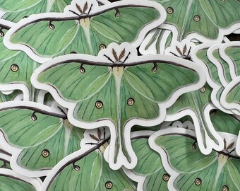 Luna Moth Sticker