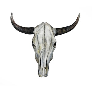 Cow Skull Archival Art Print