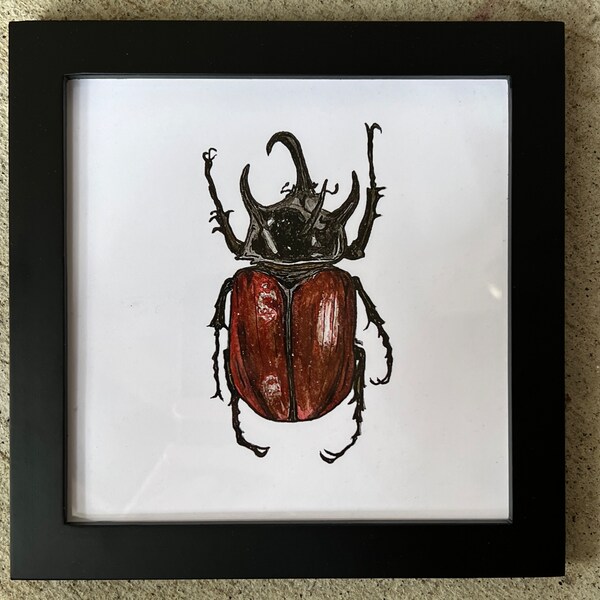 Red Rhino Beetle framed art print