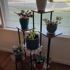 May include: A black metal plant stand with five wooden shelves, each holding a potted plant. The plants include a green leafy plant, a purple flowering plant, a green succulent, a green plant with a blue pot, and a green plant with a red pot.