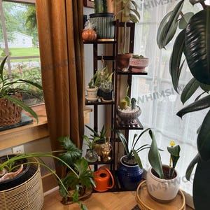 Pu&ograve; includere: Un portavasi in legno con cinque ripiani, che contiene diverse piante in vaso, tra cui un cactus, una succulenta e una pianta frondosa. Il portavasi si trova in un angolo di una stanza con una finestra e una tenda marrone.