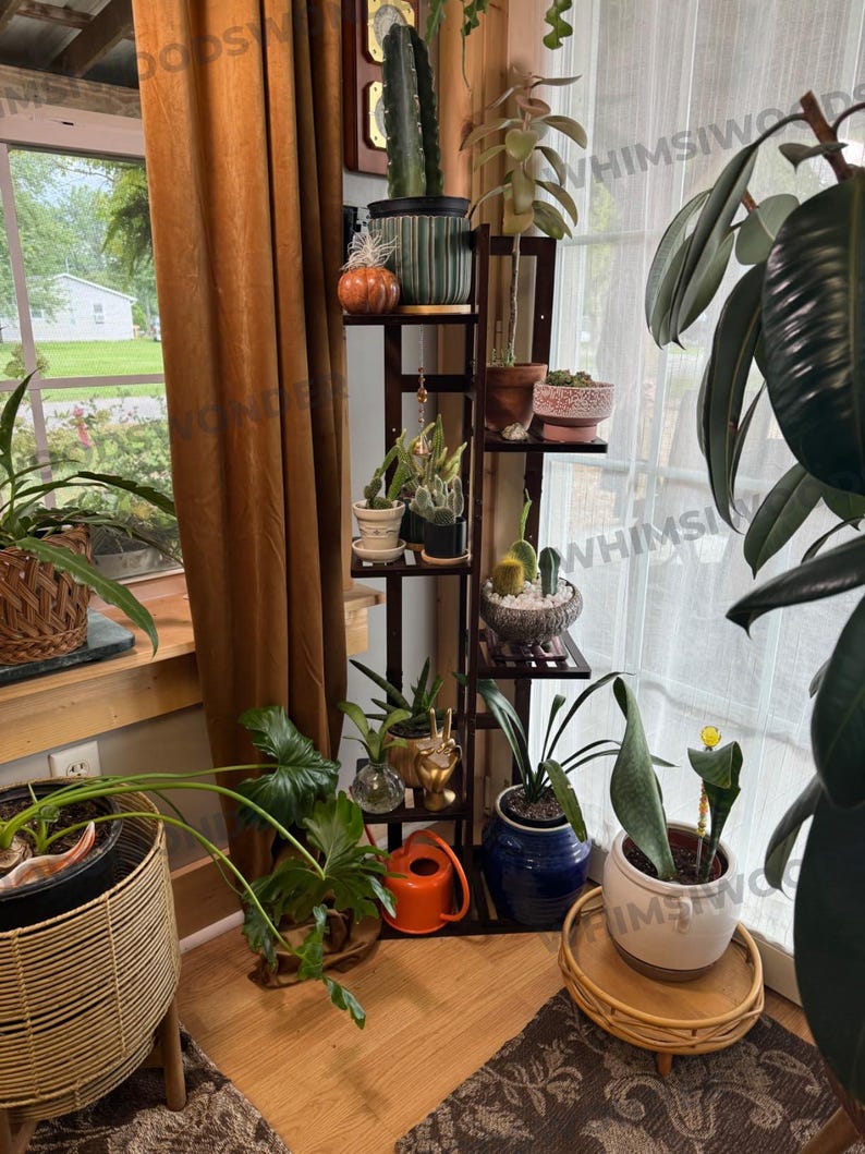 Pu&ograve; includere: Un portavasi in legno con cinque ripiani, che contiene diverse piante in vaso, tra cui un cactus, una succulenta e una pianta frondosa. Il portavasi si trova in un angolo di una stanza con una finestra e una tenda marrone.