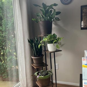 May include: A black metal plant stand with four wooden shelves, holding four potted plants. The stand is in a corner of a room with white walls and a window in the background.