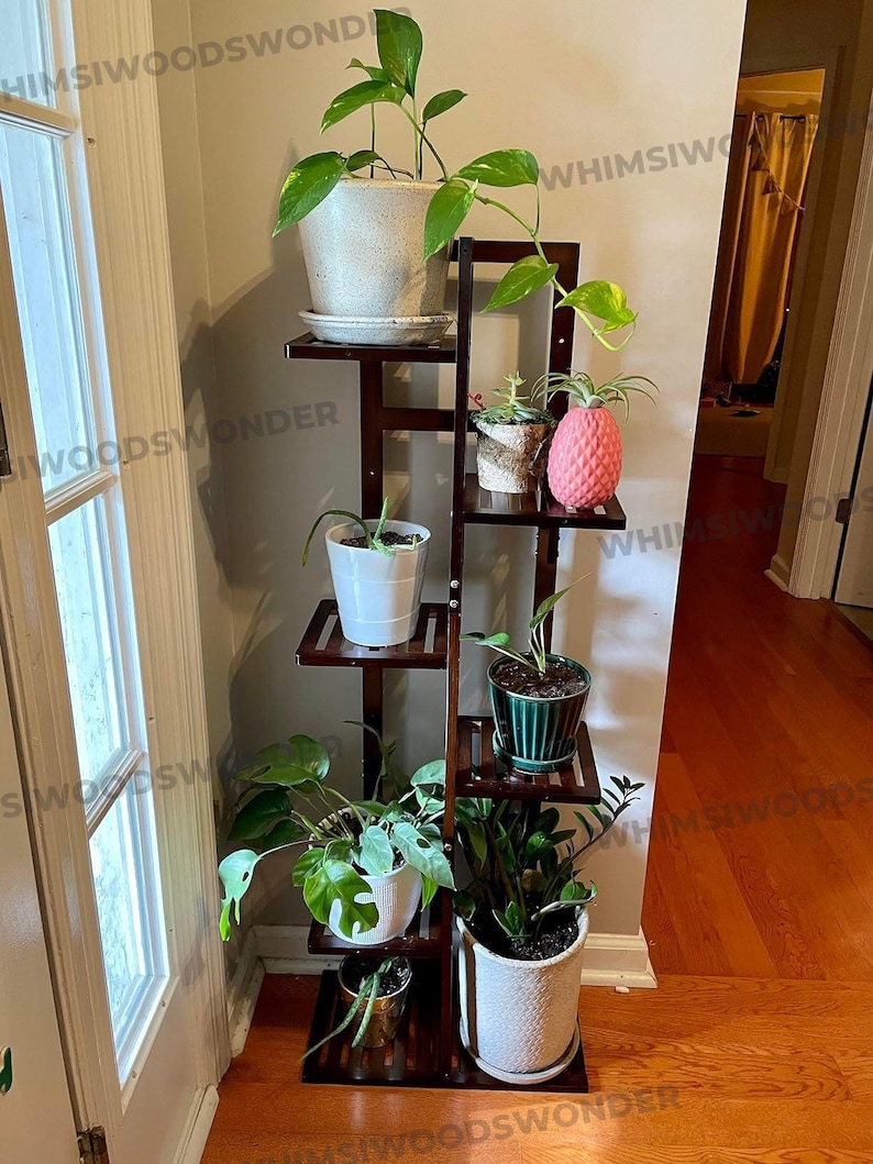 Pu&ograve; includere: Un portavasi in legno marrone con cinque ripiani, che contiene sei piante in vaso. Le piante includono una grande pianta verde con viti rampicanti, una piccola pianta verde con fiori rosa e una variet&agrave; di altre piante verdi. Il portavasi si trova in una stanza con pavimenti in legno duro e una porta bianca.