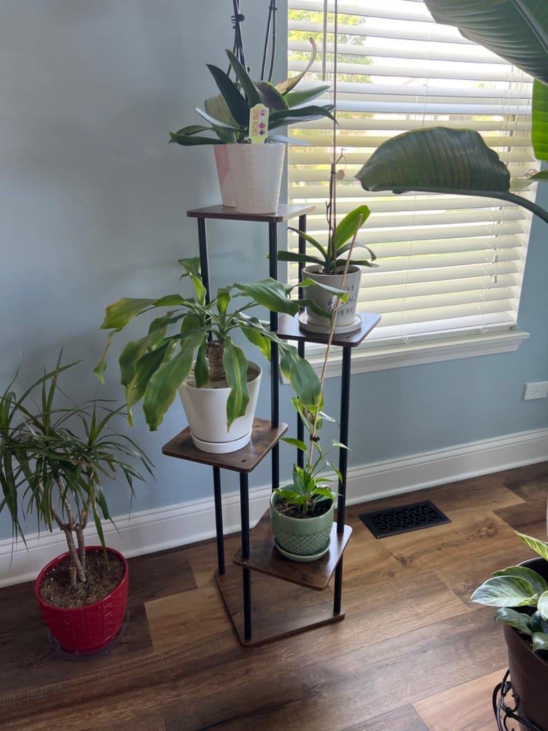 May include: A black metal plant stand with four wooden shelves. The stand is holding five potted plants, including a green orchid, a snake plant, a peace lily, and two other plants. The stand is in a room with light blue walls and wood floors.