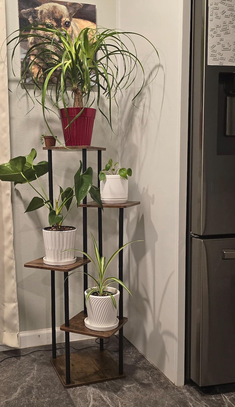 May include: A four-tier plant stand with a dark brown wood finish and black metal frame. The stand is holding four potted plants, including a large green plant with a red pot, a smaller green plant with a white pot, and two smaller green plants with white pots.