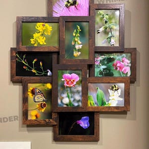 May include: A collage of nine framed photographs featuring various flowers and insects. The frames are brown wood with a distressed finish. The photos are arranged in a random pattern. The text "WHIMSIIWOODSWONDER" is visible at the bottom of the image.