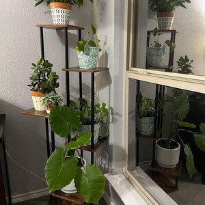 May include: A black metal plant stand with five shelves, each featuring a different potted plant. The stand is in a corner of a room with a window behind it. The plants include a peace lily, a succulent, a leafy plant, and a large-leafed plant.