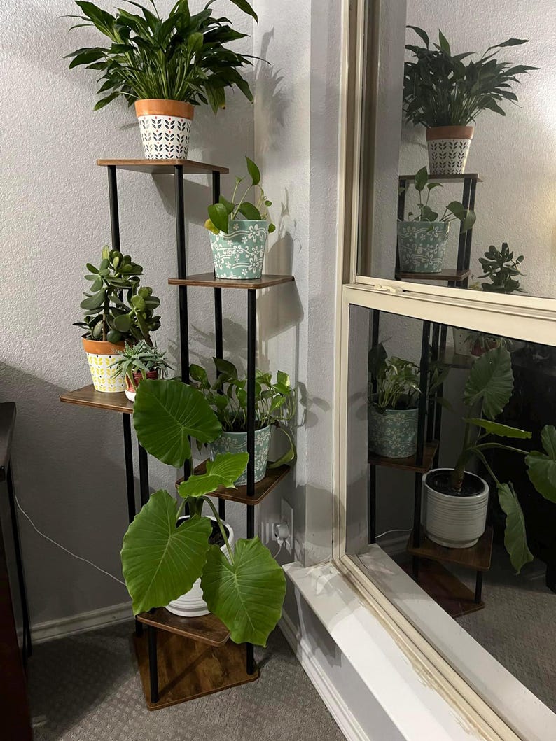 May include: A black metal plant stand with five shelves, each featuring a different potted plant. The stand is in a corner of a room with a window behind it. The plants include a peace lily, a succulent, a leafy plant, and a large-leafed plant.