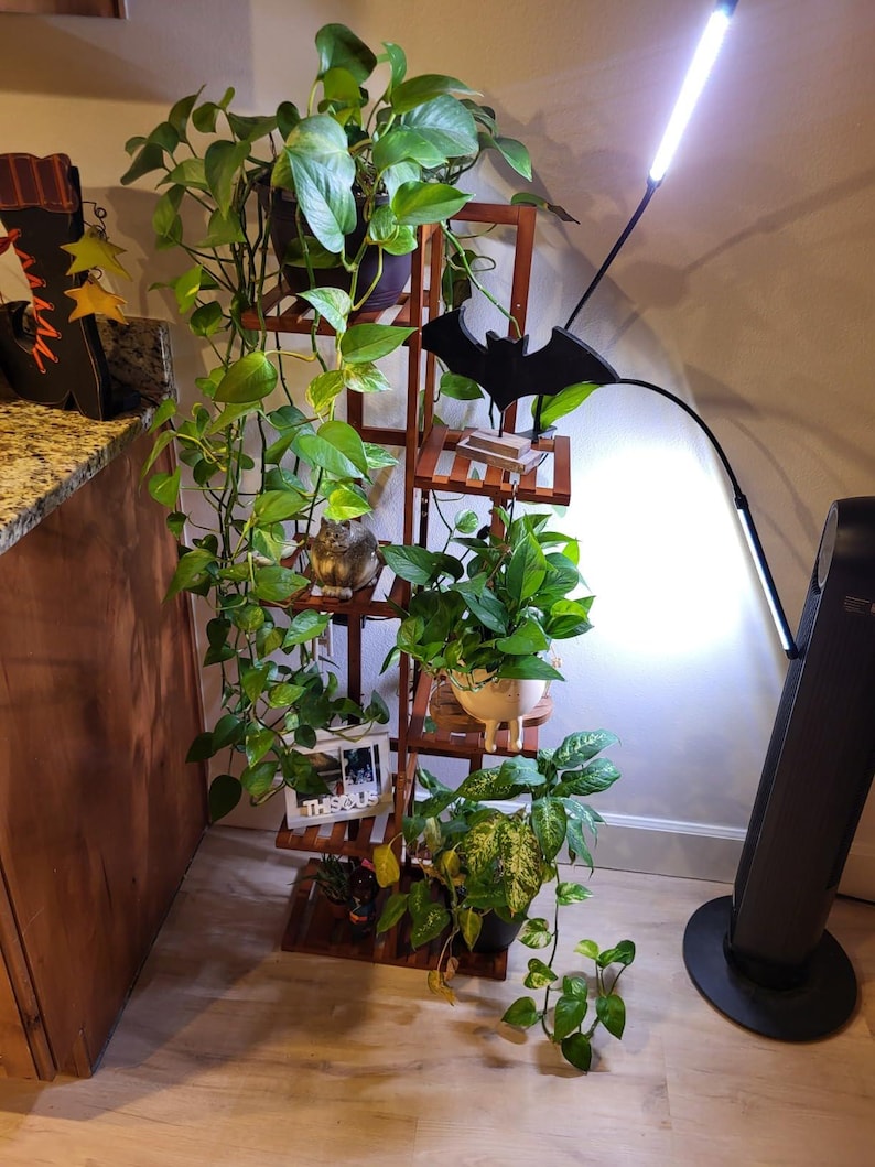 Pu&ograve; includere: Un portavasi in legno con cinque ripiani, che contiene diverse piante in vaso, tra cui un pothos, un monstera e un philodendron. Una decorazione a forma di pipistrello nero &egrave; fissata al ripiano superiore. Una lampada da coltivazione a LED bianca &egrave; sullo sfondo.
