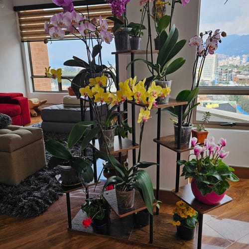 wooden plant stand indoor 3 Pieces Tall Wood Plant Stand Set 4+5+6-tier Indoor Flower Stands-Rustic Brown main image 1