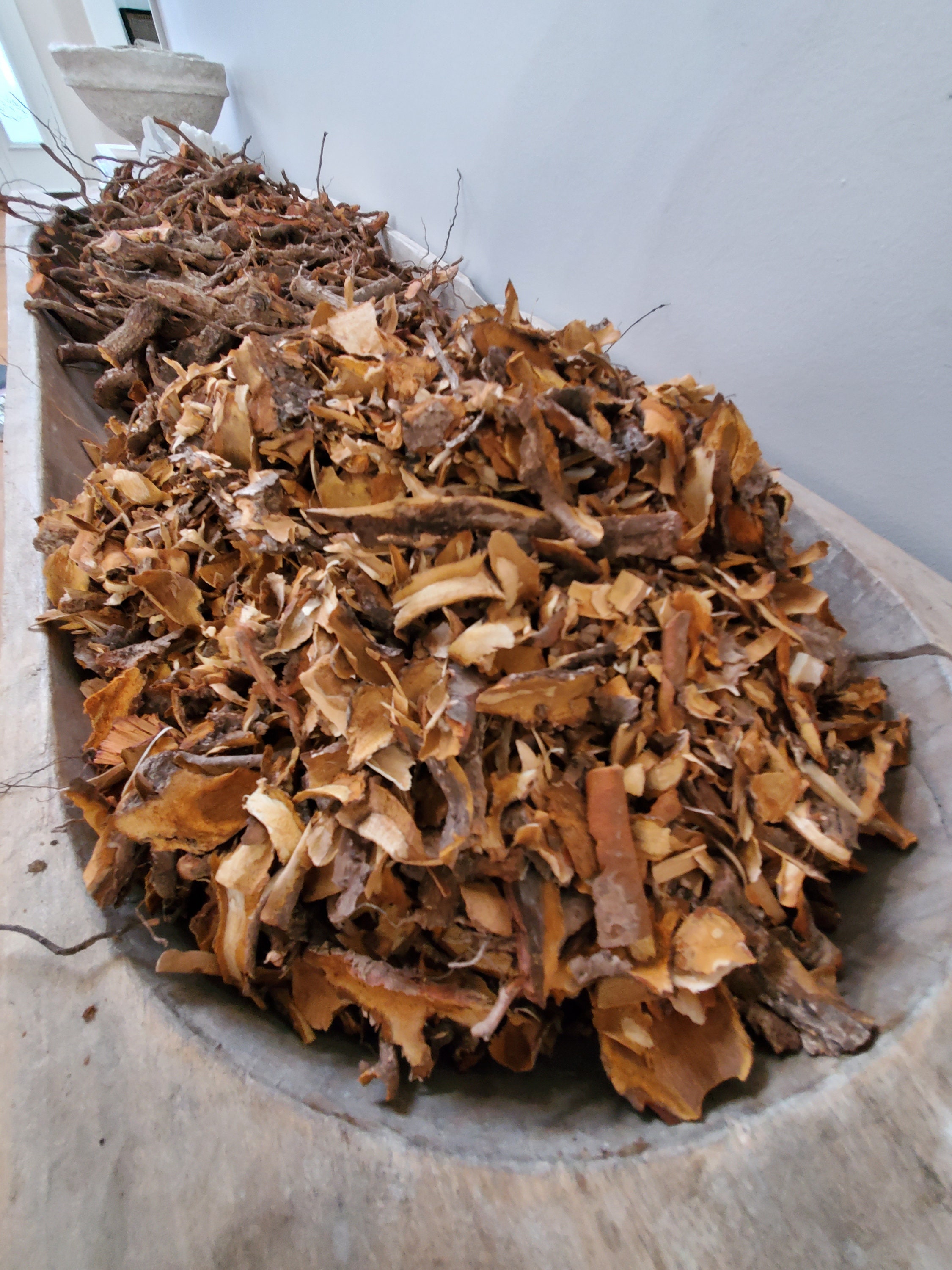 Michigan Sassafras Albidum Root Bark Hand Peeled Roots Harvested Winter ...