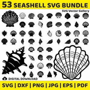 53 Seashell SVG Bundle, Clipart, Image, Silhouette, Vector, svg, dxf, png, jpg, eps, pdf