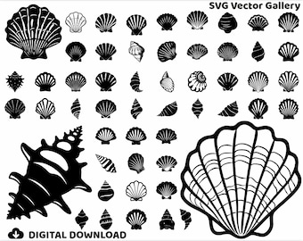 53 Seashell SVG Bundle, Clipart, Image, Silhouette, Vector, svg, dxf, png, jpg, eps, pdf