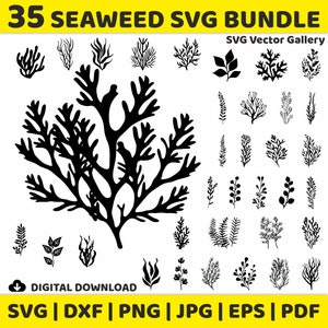 35 Seaweed Leaf SVG Bundle, Clipart, Image, Silhouette, Vector, svg, dxf, png, jpg, eps, pdf
