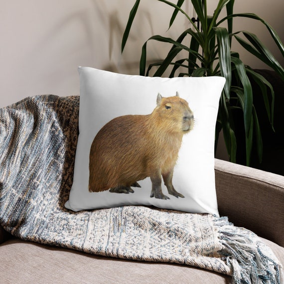 Capybara pillow - .de