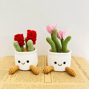 Planta suculenta tejida a crochet hecha a mano, decoración con hilo