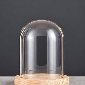 May include: A clear glass cloche dome with a smooth, rounded top, resting on a circular light-colored wooden base with visible natural grain patterns. The glass cover is transparent and sits securely within the grooved wooden platform.