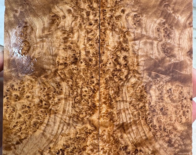 Stabilized Black Ash Burl Knife Scales | SBAB 1080