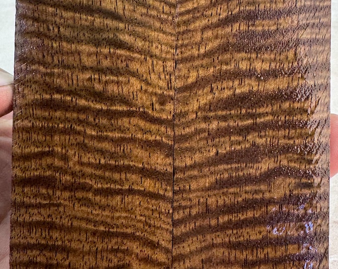 Stabilized Curly Mango Knife Scales | SCM 661