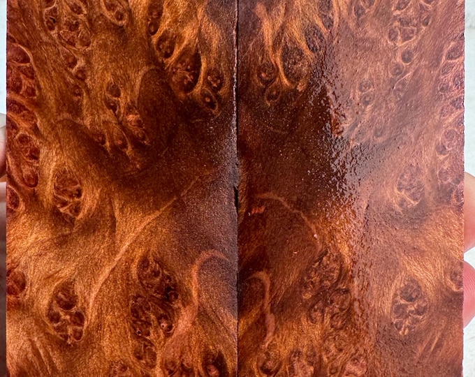 Clear Stabilized Redwood Lace Burl Knife Scales | SRW 756