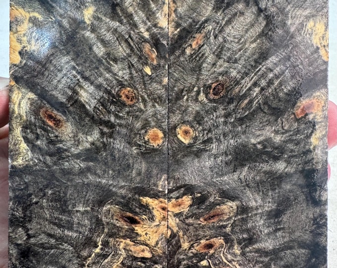 Stabilized Buckeye Burl Knife Scales | SBB 1183