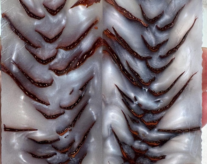 Stabilized Pine Cone Cast in Epoxy Knife Scales | SPC 101