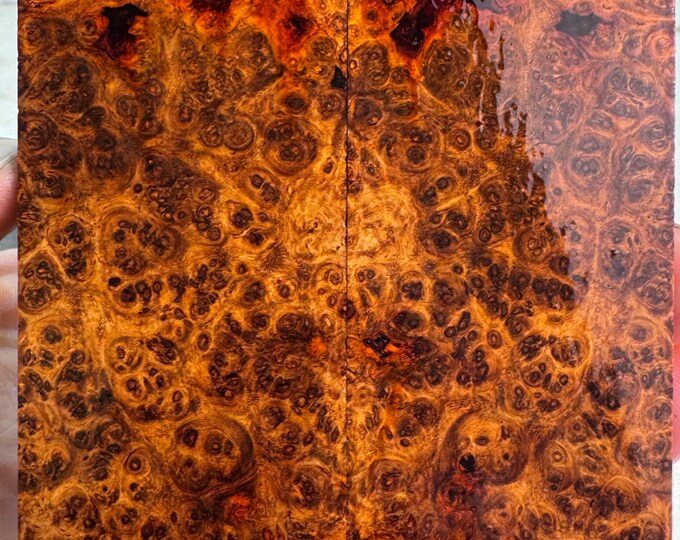 Stabilized Amboyna Burl Knife Scales | FREE SHIPPING | SAB 851