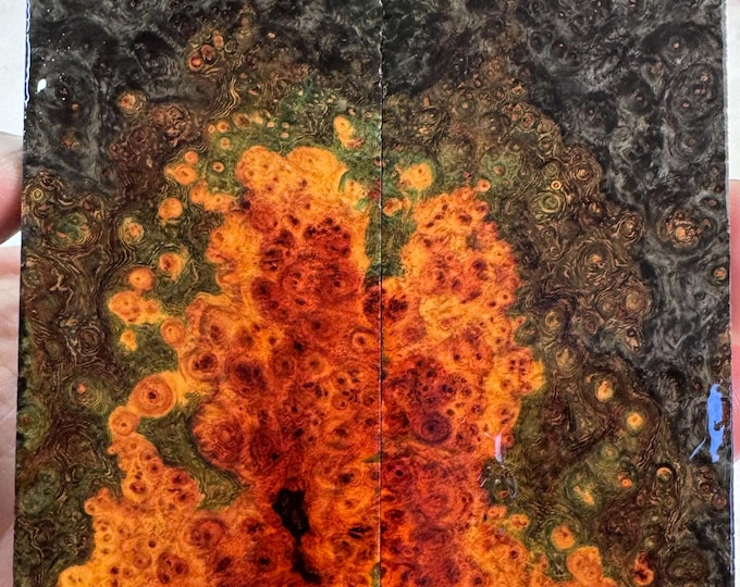 Stabilized Amboyna Burl Knife Scales | FREE SHIPPING | SAB 724