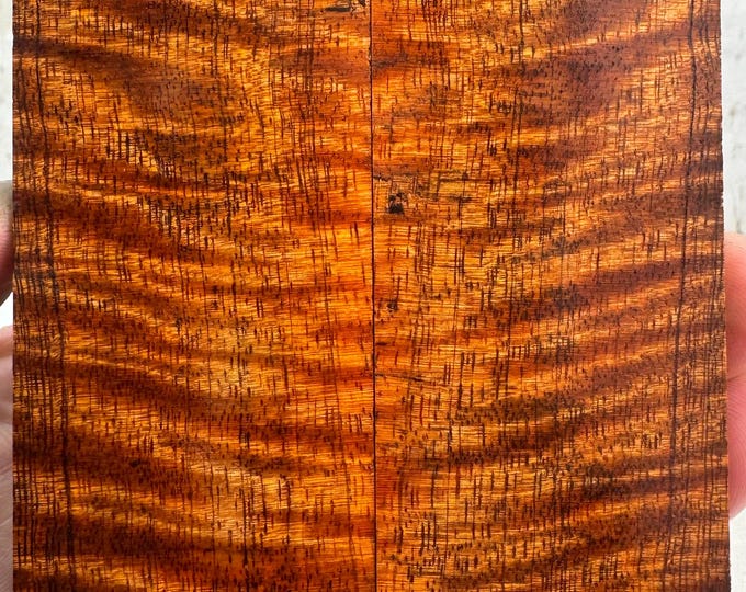 Stabilized Curly Mango Knife Scales | SCM 532