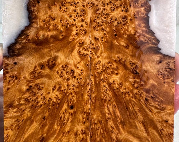 Stabilized Yellow Cedar Burl Hybrid Knife Scales | YCB 320