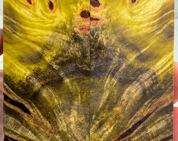 Stabilized Buckeye Burl Knife Scales | SBB 955