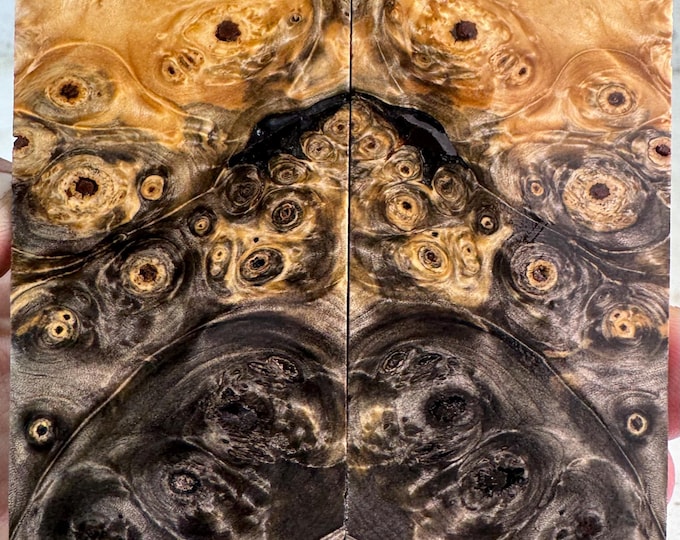 Stabilized Buckeye Burl Knife Scales | SBB 1087