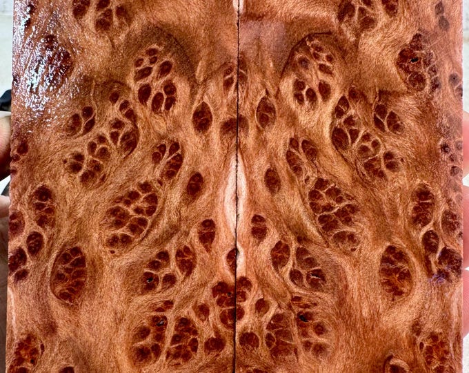 Stabilized (K&G) Redwood Lace Burl Knife Scales | SRW 874